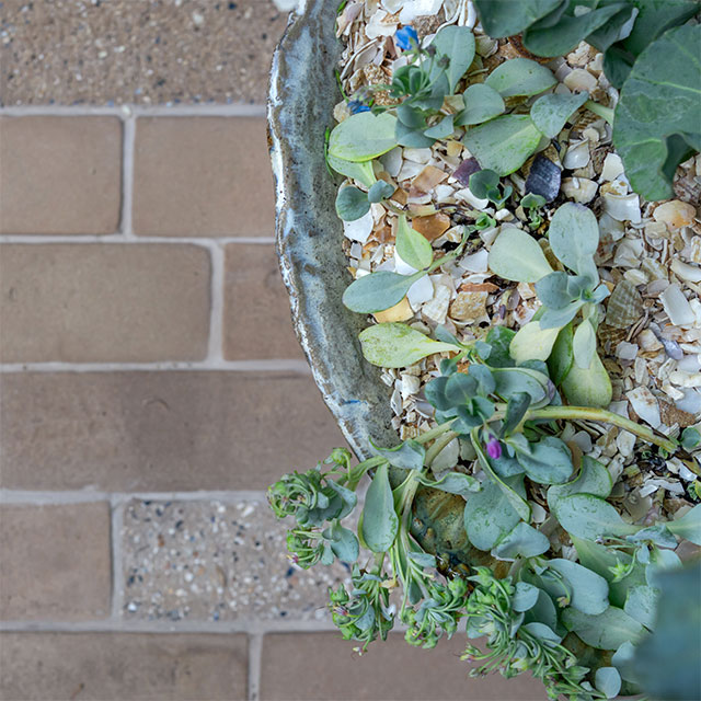 Blue Mind Garden by Ashleigh Aylett &middot; Tiles: Mosaic Factory &middot; Photo: Julie Skelton, May 2025