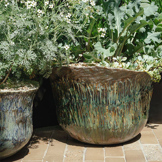 Blue Mind Garden by Ashleigh Aylett &middot; Ceramics: Sarah Bryan Studio &middot; Photo: Julie Skelton, May 2025