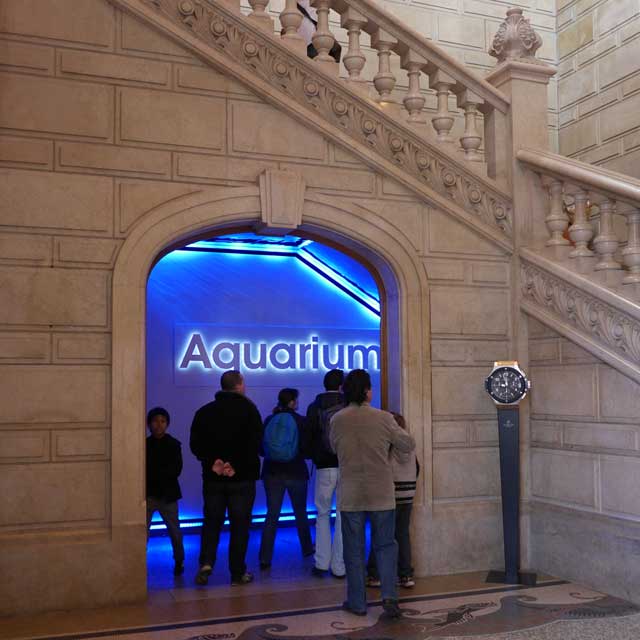 Oceanographic Museum of Monaco, Aquarium, Metal Ceiling, Product Line EXYD-M, Photo EXYD, 2013