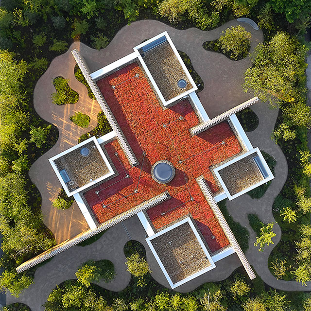 UK, Southampton, Maggie’s Centre, Architect AL_A, Landscape Design Sarah Price, Photo Hufton+Crow